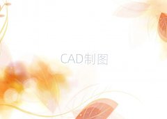 BW(xu)cad