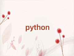 2025ڌW(xu)python̎