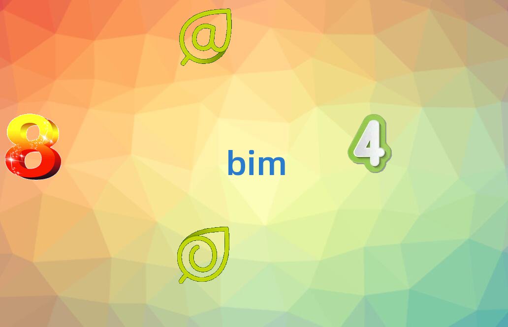 BIM