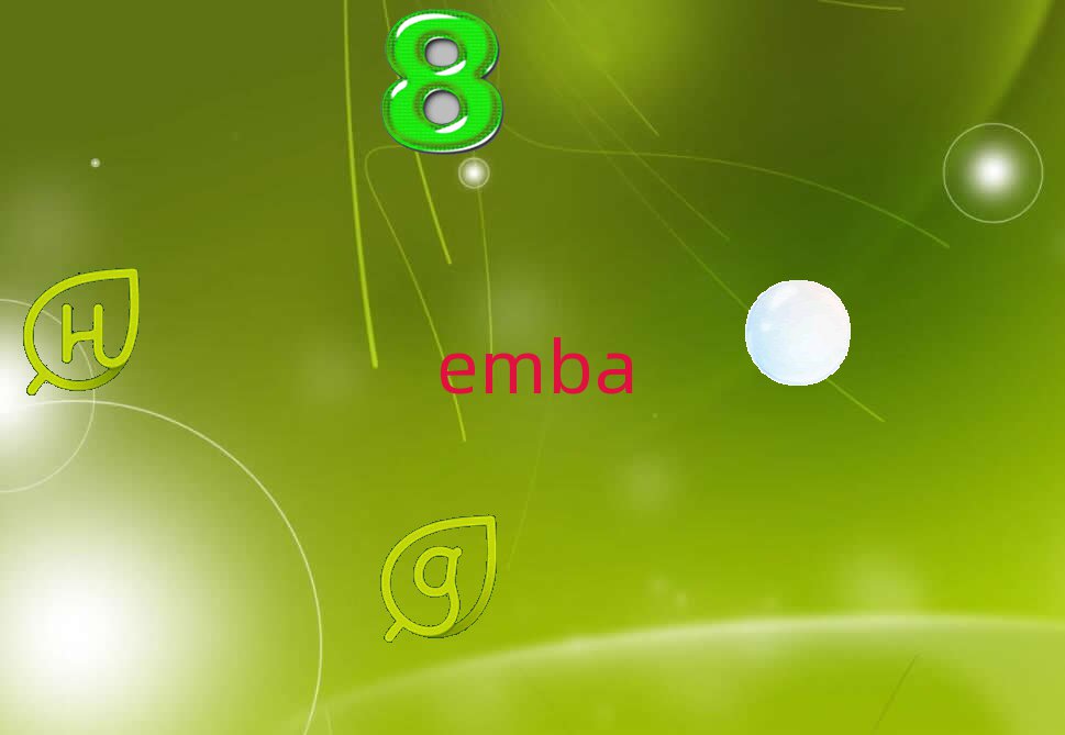 ƽȅ^(q)EMBAһһҪX